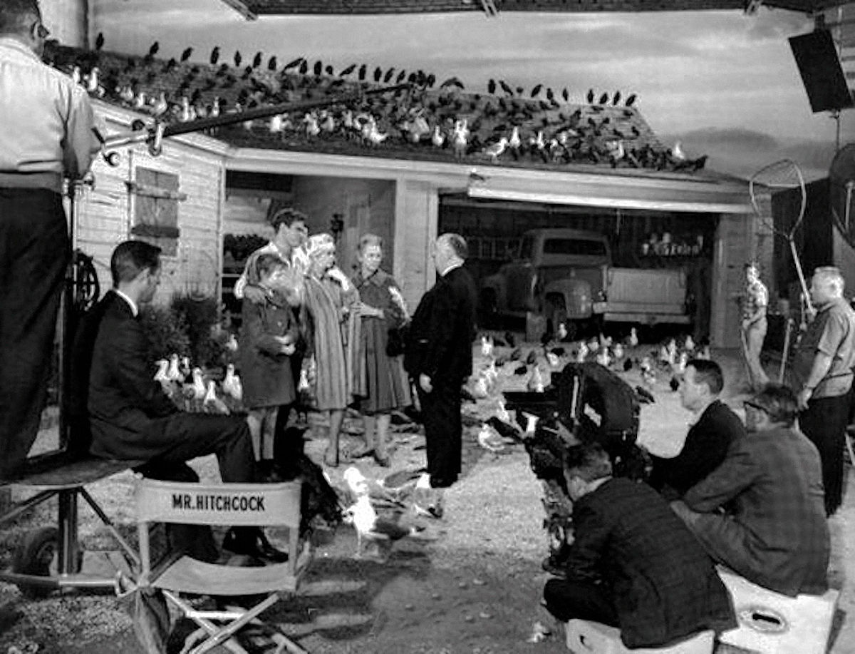 Alfred Hitchcock | The Birds (1963)