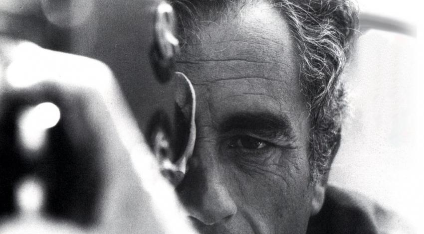 Director, Michelangelo Antonioni
