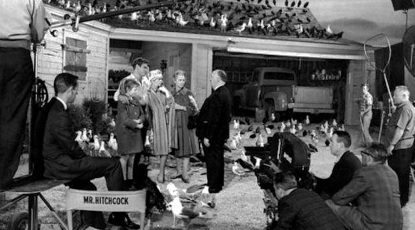 Alfred Hitchcock | The Birds (1963)